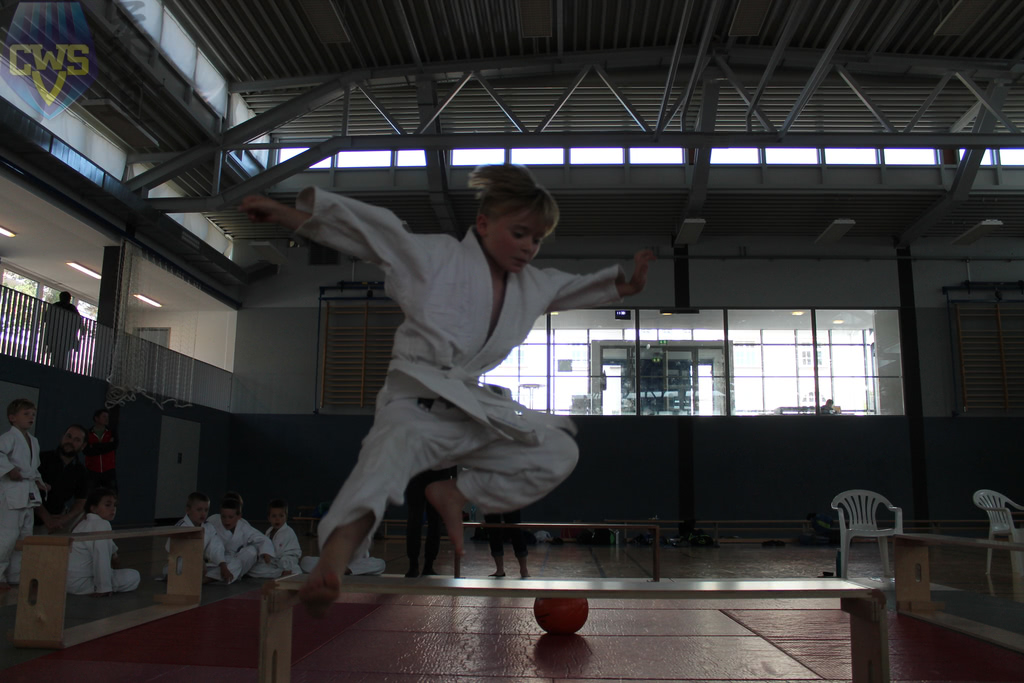 images/Bezirksoffene Judo-Safari 2018 der SG Weixdorf-054.jpg